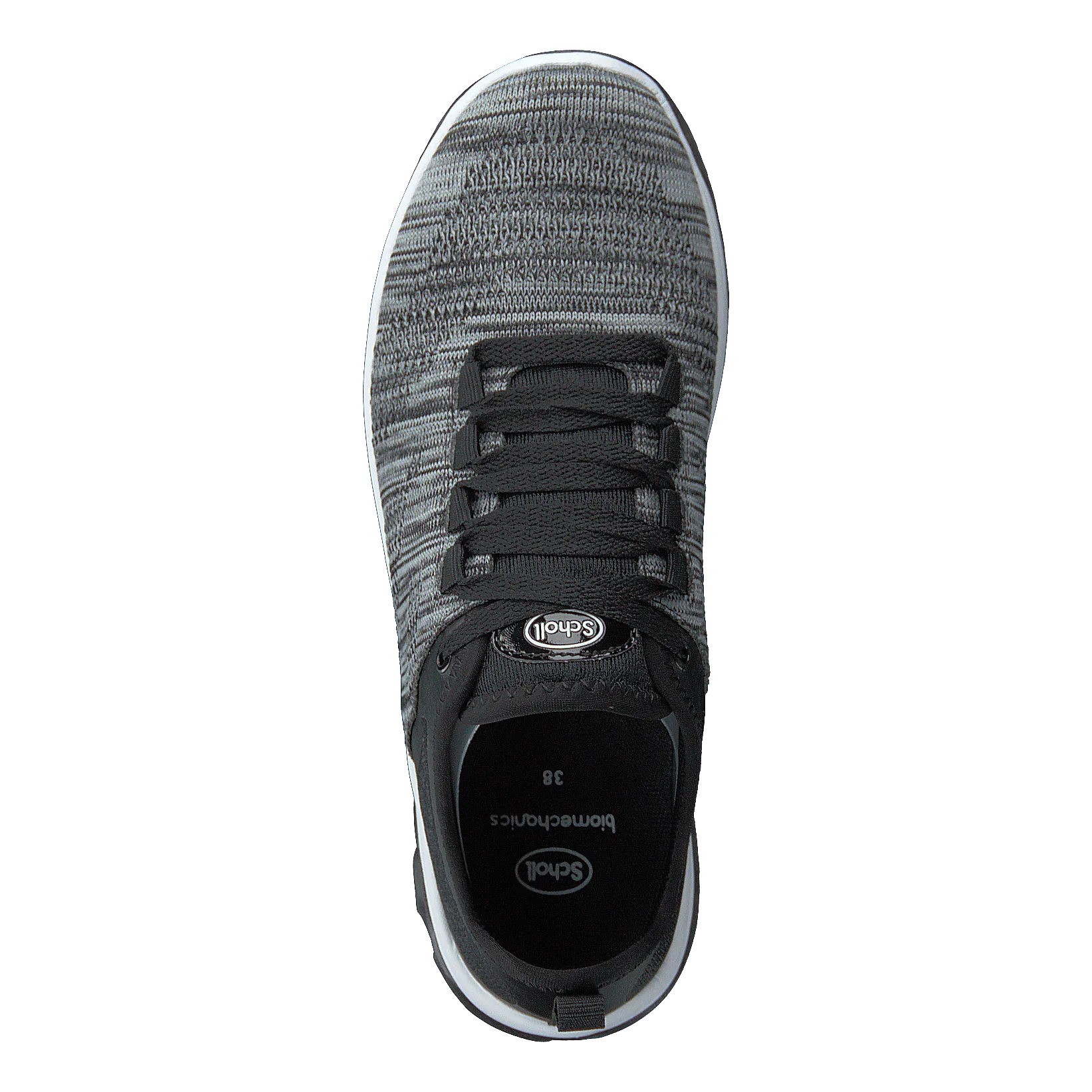 Darwin Black/grey